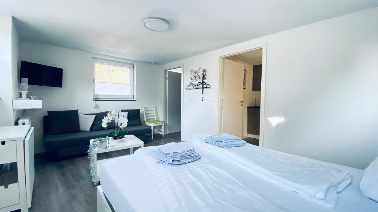 Haus-No19 Gbr Apartment Kippenheim Ngoại thất bức ảnh