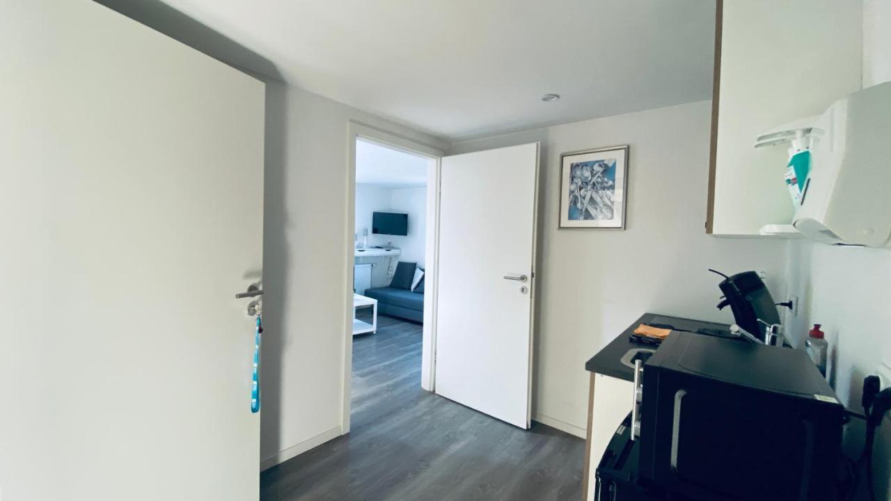 Haus-No19 Gbr Apartment Kippenheim Ngoại thất bức ảnh