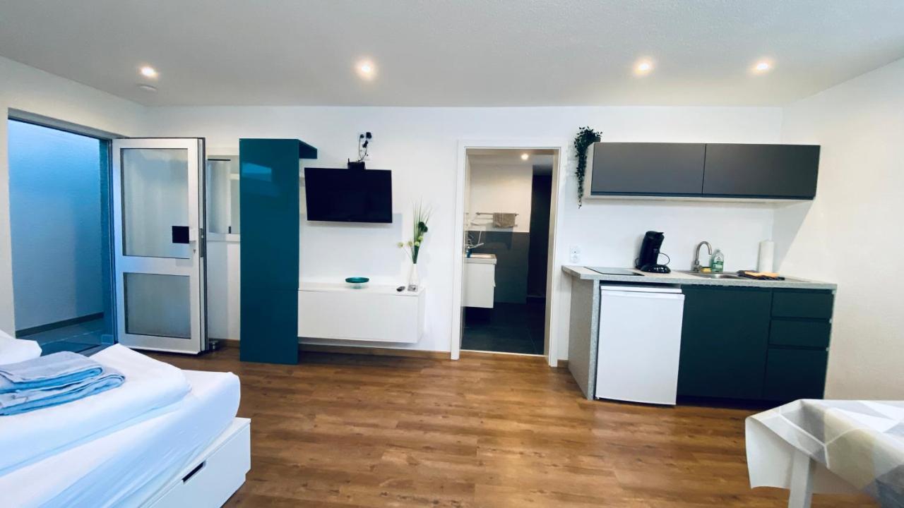 Haus-No19 Gbr Apartment Kippenheim Ngoại thất bức ảnh