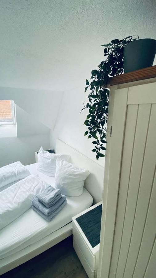 Haus-No19 Gbr Apartment Kippenheim Ngoại thất bức ảnh