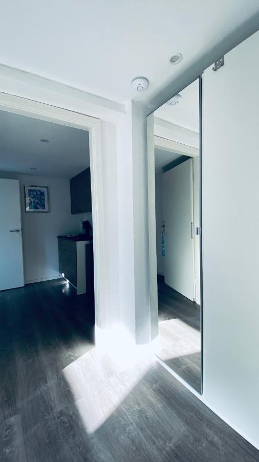 Haus-No19 Gbr Apartment Kippenheim Ngoại thất bức ảnh